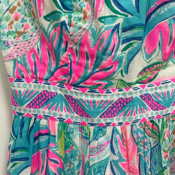 Lilly Pulitzer Charlene Maxi Dress 22 